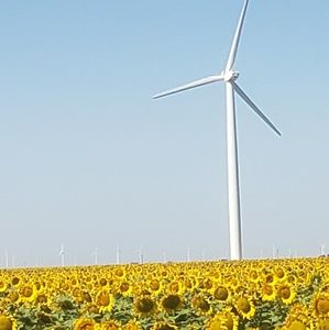 Meet your Posher, Hillary